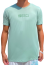 Camiseta Esportiva Slim Zeiq Pistache